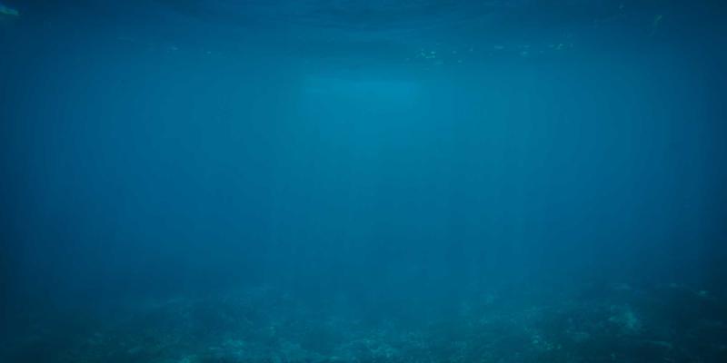 网站流量与关键词排名，深度科普两者关系